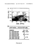 PERIVASCULAR MESENCHYMAL PRECURSOR CELLS diagram and image