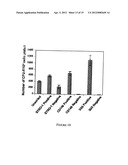 PERIVASCULAR MESENCHYMAL PRECURSOR CELLS diagram and image