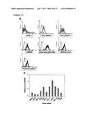 PERIVASCULAR MESENCHYMAL PRECURSOR CELLS diagram and image