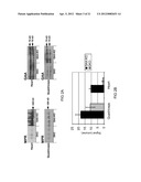 METHODS OF LYSOSOMAL STORAGE DISEASE THERAPY diagram and image