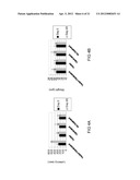 METHODS OF LYSOSOMAL STORAGE DISEASE THERAPY diagram and image