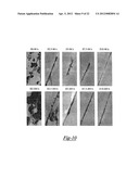 SELF-STRATIFYING COATING diagram and image