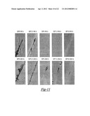 SELF-STRATIFYING COATING diagram and image