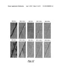 SELF-STRATIFYING COATING diagram and image