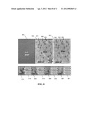 METHOD FOR FORMING A MAGNETIC RECORDING MEDIUM AND A MAGNETIC RECORDING     MEDIUM FORMED THEREOF diagram and image