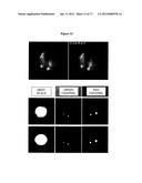 Cell Analysis On Microfluidic Chips diagram and image