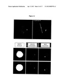 Cell Analysis On Microfluidic Chips diagram and image