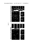 Cell Analysis On Microfluidic Chips diagram and image