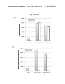 Expression System for Producing Multi-Enzyme Complexes and Uses Thereof diagram and image