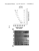 Expression System for Producing Multi-Enzyme Complexes and Uses Thereof diagram and image