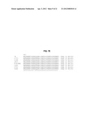 THERMOSTABLE DNA POLYMERASES AND METHODS OF USE diagram and image