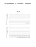 THERMOSTABLE DNA POLYMERASES AND METHODS OF USE diagram and image