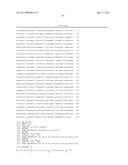 THERMOSTABLE DNA POLYMERASES AND METHODS OF USE diagram and image