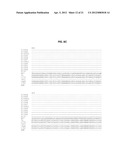 THERMOSTABLE DNA POLYMERASES AND METHODS OF USE diagram and image