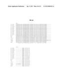 THERMOSTABLE DNA POLYMERASES AND METHODS OF USE diagram and image