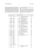 Expression of UBE2C and Other Genes Associated with Bladder Cancer     Progression diagram and image