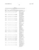 Expression of UBE2C and Other Genes Associated with Bladder Cancer     Progression diagram and image