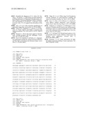 Expression of UBE2C and Other Genes Associated with Bladder Cancer     Progression diagram and image