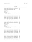 Expression of UBE2C and Other Genes Associated with Bladder Cancer     Progression diagram and image