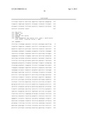 Expression of UBE2C and Other Genes Associated with Bladder Cancer     Progression diagram and image