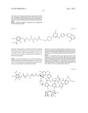 METHODS AND COMPOUNDS FOR THE TARGETED DELIVERY OF AGENTS TO BONE FOR     INTERACTION THEREWITH diagram and image