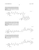 METHODS AND COMPOUNDS FOR THE TARGETED DELIVERY OF AGENTS TO BONE FOR     INTERACTION THEREWITH diagram and image