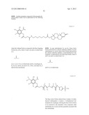 METHODS AND COMPOUNDS FOR THE TARGETED DELIVERY OF AGENTS TO BONE FOR     INTERACTION THEREWITH diagram and image