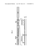 PROTEASOME INHIBITORS AND USES THEREOF diagram and image