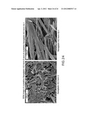 POLYMORPHS OF SAXAGLIPTIN HYDROCHLORIDE AND PROCESSES FOR PREPARING THEM diagram and image