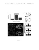 METHOD FOR CHANGING AN INDIVIDUAL S STATE OF CONSCIOUSNESS diagram and image