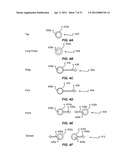 MANAGING EXPOSE VIEWS IN DUAL DISPLAY COMMUNICATION DEVICES diagram and image