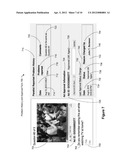 System and Method for Providing Real Time Television Viewing Information     and Popularity to Viewers diagram and image