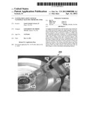 NANOMANIPULATION COUPLED NANOSPRAY MASS SPECTROMETRY (NMS) diagram and image