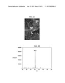 NANOMANIPULATION COUPLED NANOSPRAY MASS SPECTROMETRY (NMS) diagram and image