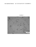 MASS SPECTOMETRY USING LASERSPRAY IONIZATION diagram and image