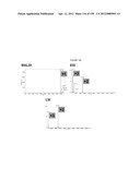 MASS SPECTOMETRY USING LASERSPRAY IONIZATION diagram and image