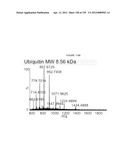 MASS SPECTOMETRY USING LASERSPRAY IONIZATION diagram and image