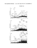 MASS SPECTOMETRY USING LASERSPRAY IONIZATION diagram and image