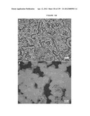 MASS SPECTOMETRY USING LASERSPRAY IONIZATION diagram and image