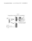 MASS SPECTOMETRY USING LASERSPRAY IONIZATION diagram and image