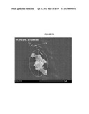 MASS SPECTOMETRY USING LASERSPRAY IONIZATION diagram and image