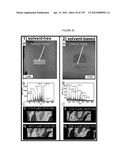 MASS SPECTOMETRY USING LASERSPRAY IONIZATION diagram and image