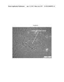 MASS SPECTOMETRY USING LASERSPRAY IONIZATION diagram and image