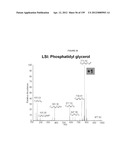 MASS SPECTOMETRY USING LASERSPRAY IONIZATION diagram and image