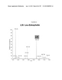 MASS SPECTOMETRY USING LASERSPRAY IONIZATION diagram and image