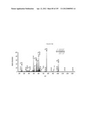 MASS SPECTOMETRY USING LASERSPRAY IONIZATION diagram and image