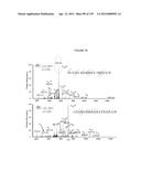 MASS SPECTOMETRY USING LASERSPRAY IONIZATION diagram and image