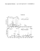 MASS SPECTOMETRY USING LASERSPRAY IONIZATION diagram and image