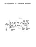 MASS SPECTOMETRY USING LASERSPRAY IONIZATION diagram and image