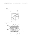 ELECTROFLUIDIC CHROMATOPHORE (EFC) DISPLAY APPARATUS diagram and image